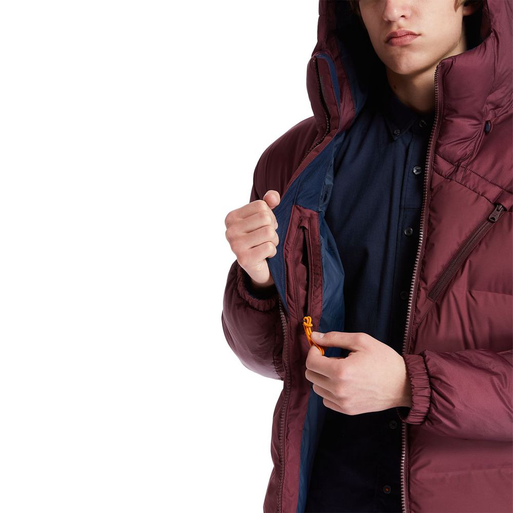 Geaca Timberland Barbati Visinii - Neo Summit Hooded Iarna - Romania - GOURIP974